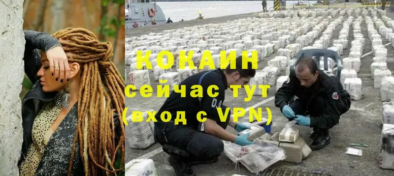 COCAIN Fish Scale  блэк спрут как войти  Переславль-Залесский 